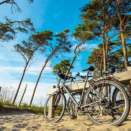 Kurpark Zingst